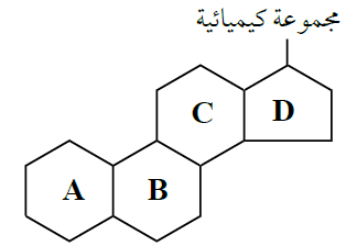 الستيرويد